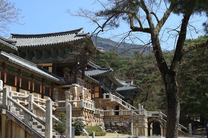 Gyeongju the UNESCO World Heritage Sites Tour(Private Tour) - Gyeongju National Museum