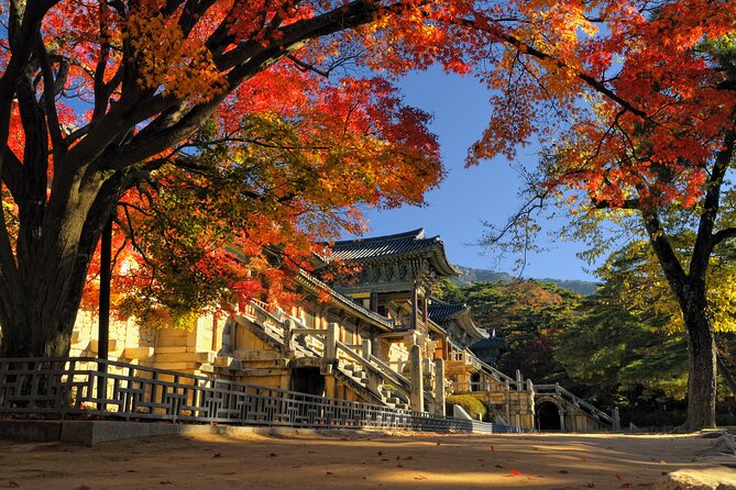 Gyeongju UNESCO Sites Private Tour With Licensed Tour Guide - Seokguram Grotto