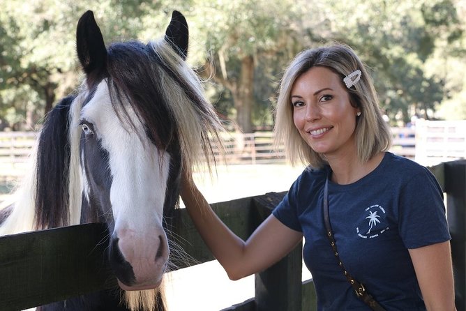 Gypsy Gold Horse Farm Tour - Stable Interactions