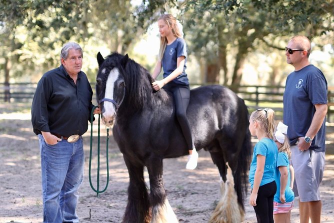 Gypsy Gold Horse Farm Tour - Cancellation Policy