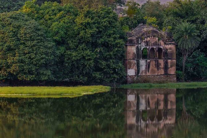 Gypsy Safari (Foriegn National)- Ranthambore National Park - Traveler Recommendations and Cautions