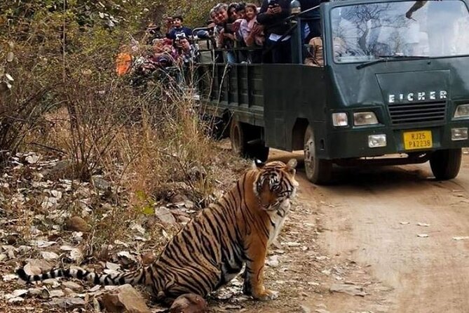 Gypsy Safari (Foriegn National)- Ranthambore National Park - Overview and Ratings