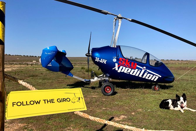 Gyrocopter Flight Experience in Azores- Faial - Birdlife and Landscapes