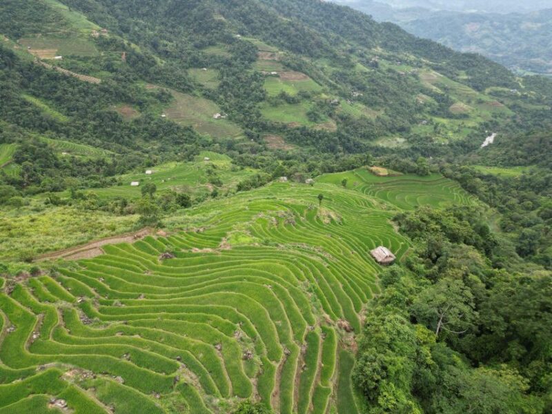 Ha Giang : 1 Day Trekking Ethnic Villages - Tay Village Exploration
