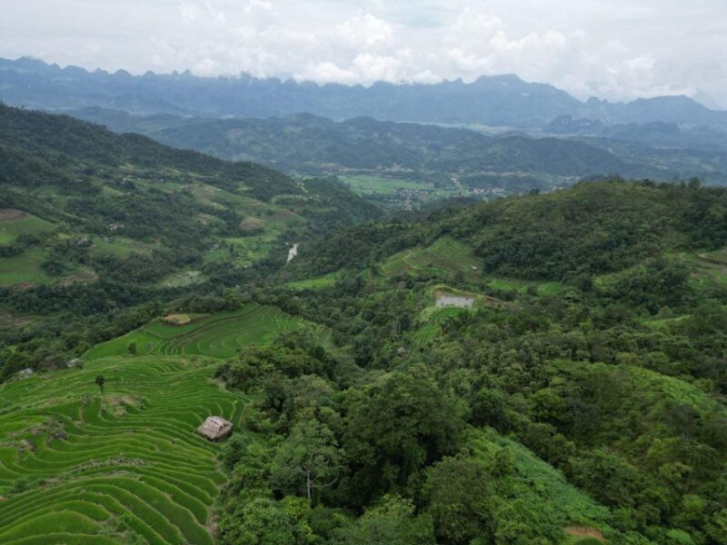 Ha Giang : 1 Day Trekking Ethnic Villages - Dao Village Experience