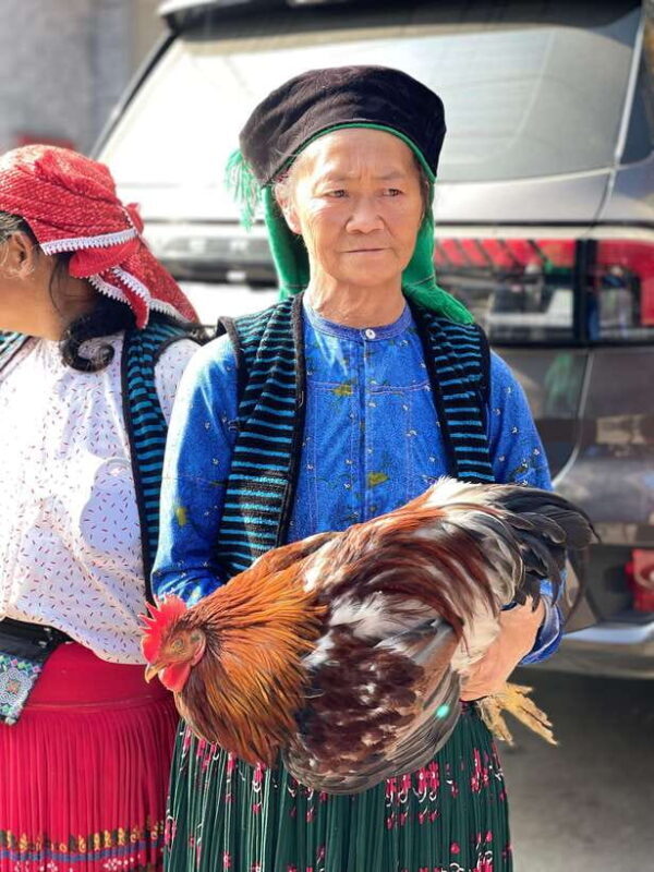 Ha Giang: 3-Day Guided Car Tour With Homestay - Key Points