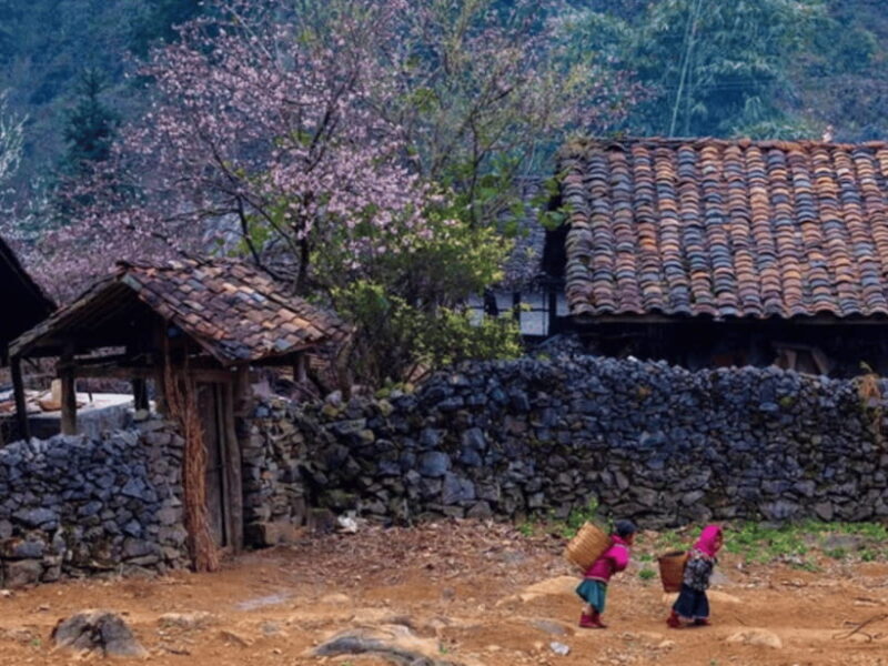 Ha Giang 3 Days 2 Nights Self-Driving From Hanoi or Sapa - Frequently Asked Questions