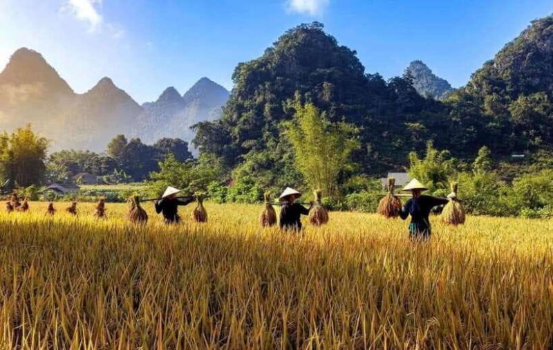 Ha Giang: 4-Day Cao Bang Loop Motorbike Tour - Important Information and Additional Options