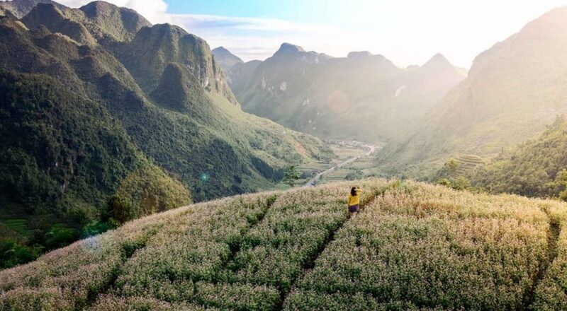 Ha Giang: 4-Day Loop Tour Easy Rider (From Hanoi or Sapa) - Important Information