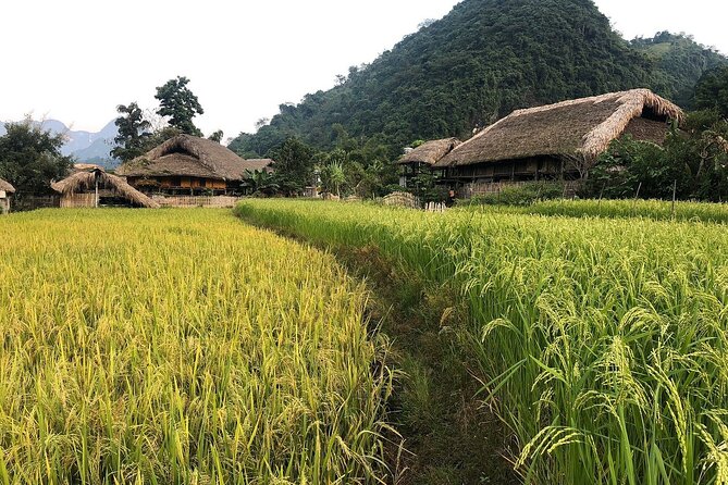 Ha Giang Comfort Car Ride 4D3N - Inclusion Details