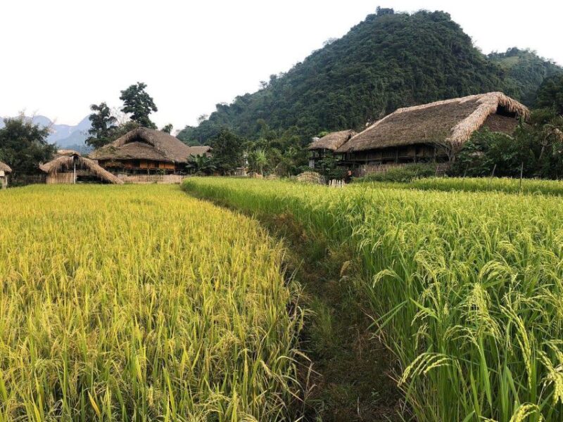 Ha Giang Comfort Car Ride Tour in 4D3N - Key Points