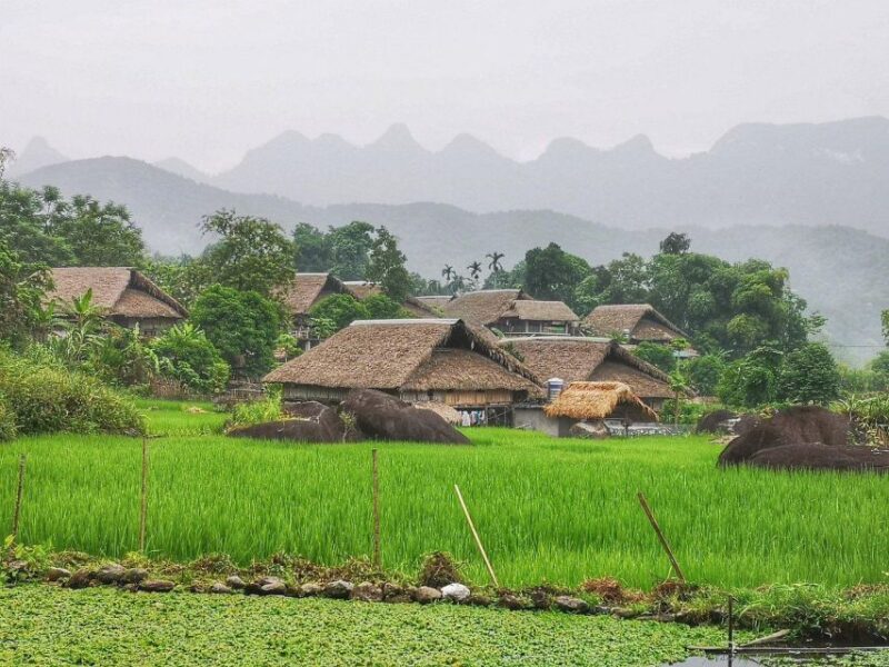 Ha Giang Comfort Car Ride Tour in 4D3N - Highlights