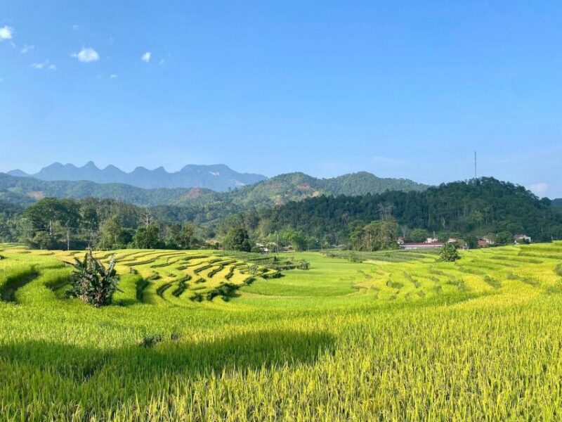 Ha Giang Comfort Car Ride Tour in 4D3N - Day 1: Hanoi to Thon Tha