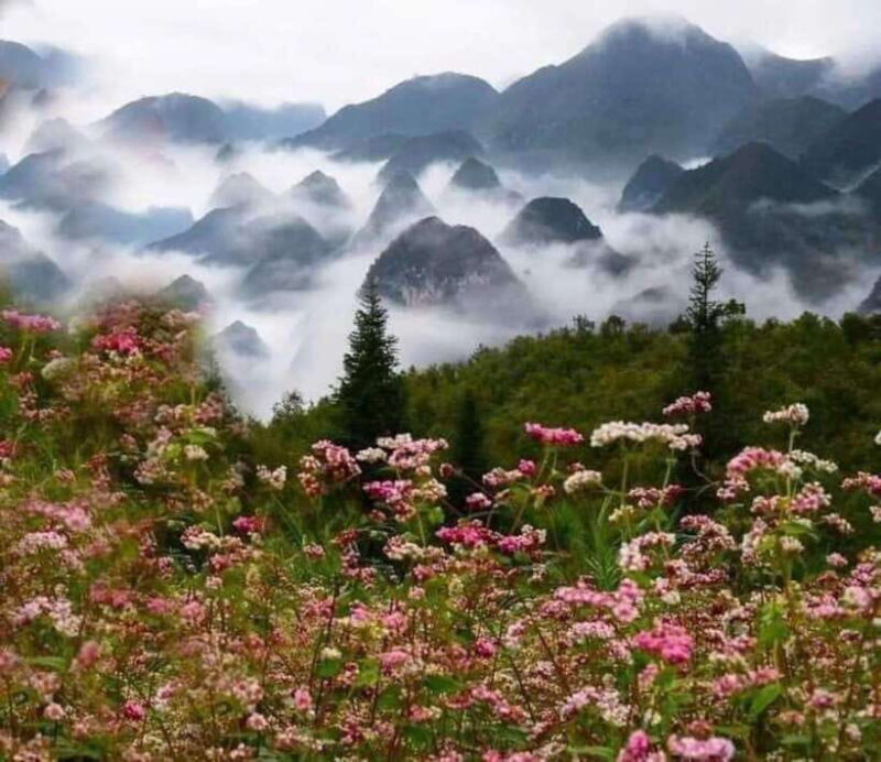 Ha Giang Loop : 3 Days Motorbike Tour Group With Time Travel - Frequently Asked Questions