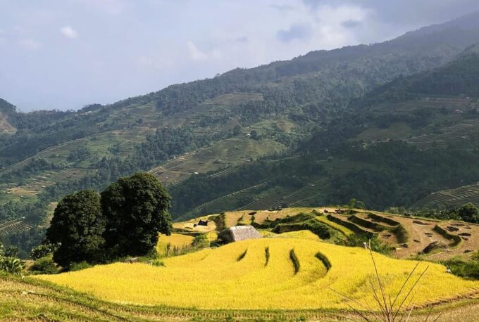 Ha Giang Loop 4 Days With Easy Rider ( From Hanoi or Sapa) - Departing From Hanoi or Sapa