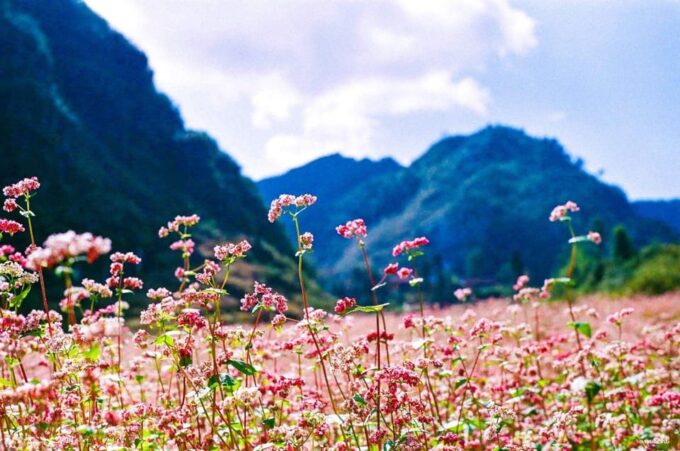 Ha Giang Loop 4Days - 3Nights With Easy Rider Tour Guide - VIP Sleeper Bus Transfer