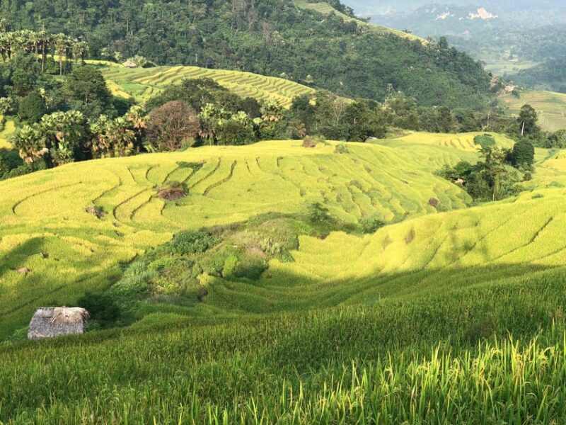 Ha Giang Loop by Car 3 Days 2 Nights - Experience Description