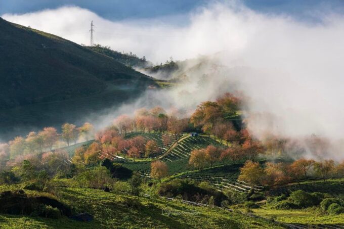 Ha Giang Loop Motorbike Tour 2 Days 1 Night - Lung Cu Flagpole