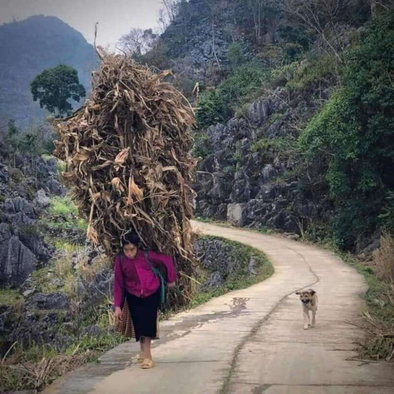 Ha Giang Loop Motorbike Tour 3D2N Tour With Time Travel - Taking in the Hmong Village Life