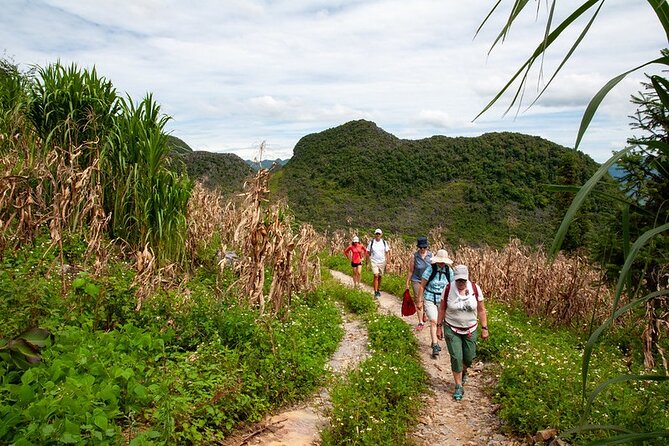 Ha Giang Loop Trekking 4 Days 3 Nights - Itinerary