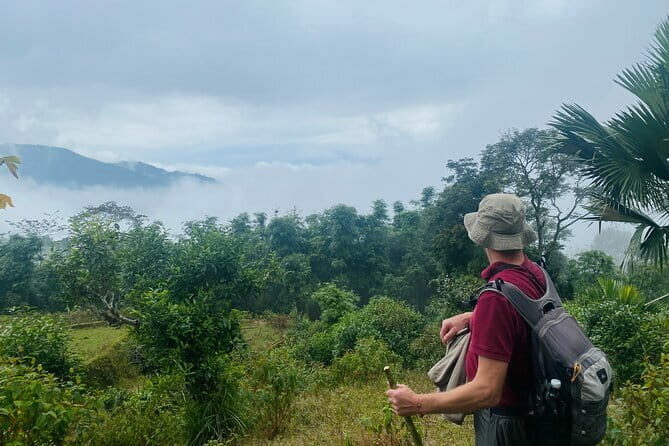 Ha Giang Loop Trekking Full Day Tour - The Critics’ Perspective