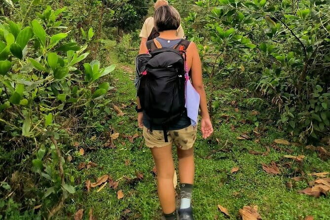 Ha Giang Loop Trekking Full Day Tour - Final Thoughts: Why Choose This Tour?