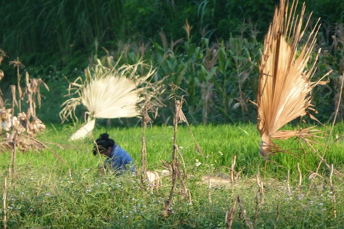 Ha Giang Trekker 2D2N - Good To Know