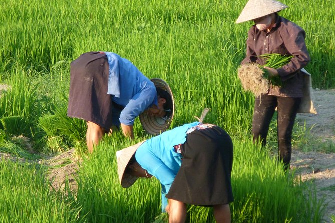 Ha Giang Trekker 2D2N - Traveler Testimonials