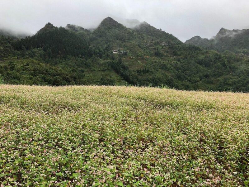 Ha Giang Trekker in 3D3N - Natural Attractions