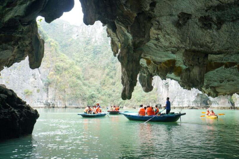 Ha Long Bay 1 Day: Kayak, Swim, Surprise Cave, Titov Island - Inclusions