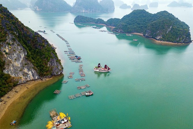 Ha Long Bay Cruise Day Tour - Best Selling: Kayaking, Swimming, Hiking & Lunch - Cruise Departure Times and Schedules