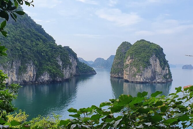 Ha Long Bay Cruise Day Tour - Cave, Kayaking, Swimming & Lunch - What to Expect