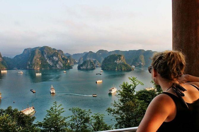 Ha Long Bay Luxury Cruise 1 Day - Who Is This Tour Best For?