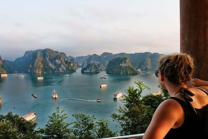 Ha Long Bay Luxury Cruise 1 Day - Onboard Dining and Activities