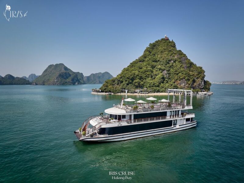 Ha Long Bay: Luxury Day Cruise, Caves, Jacuzzi, Buffet Lunch - Exploring Ti Top Island
