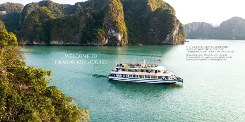 Ha Long Bay: Luxury Day Cruise, Caves, Kayak & Buffet Lunch - Included Services
