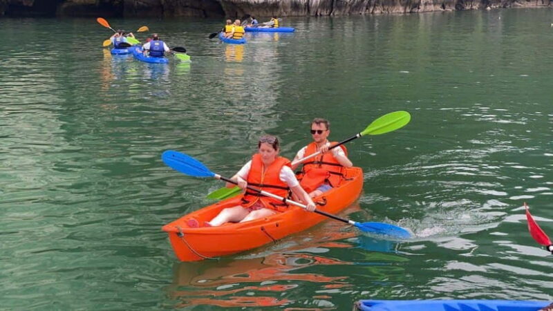 Ha Long Bay Luxury Day Cruise With Buffet Lunch From Hanoi - Overview and Pricing