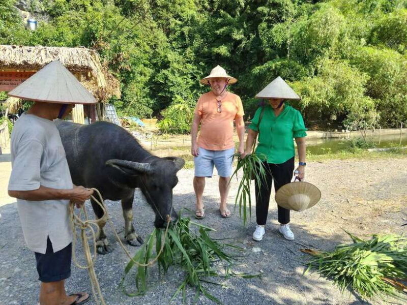 Ha Noi - Cat Ba Island - Ninh Binh - 3DAYS 2nights Tour - Day 1: Exploring Cat Ba Island