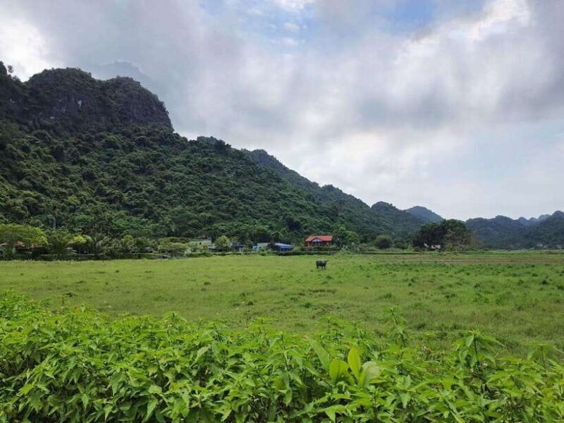 Ha Noi - Cat Ba Island - Ninh Binh - 3DAYS 2nights Tour - Day 2: Discovering Lan Ha Bay and Ha Long Bay