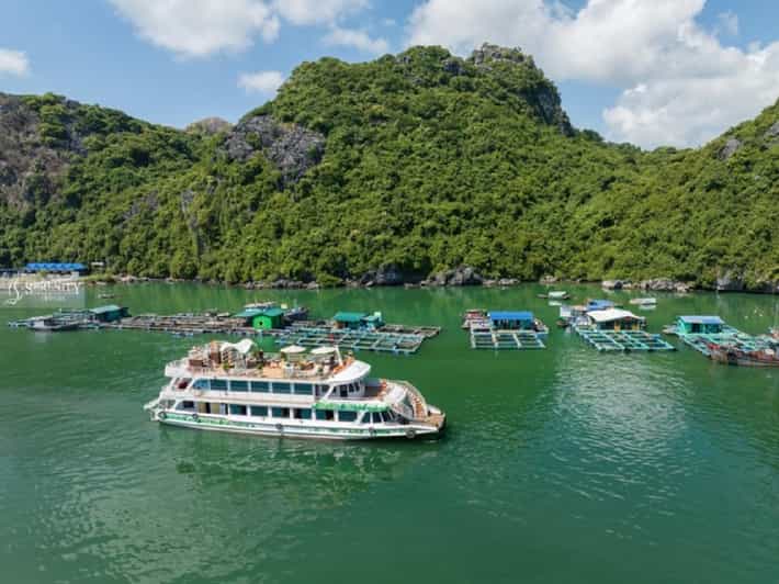 Ha Noi : Lan Ha Bay Day Cruise With Kayaking - Swimming Tour - Itinerary Highlights