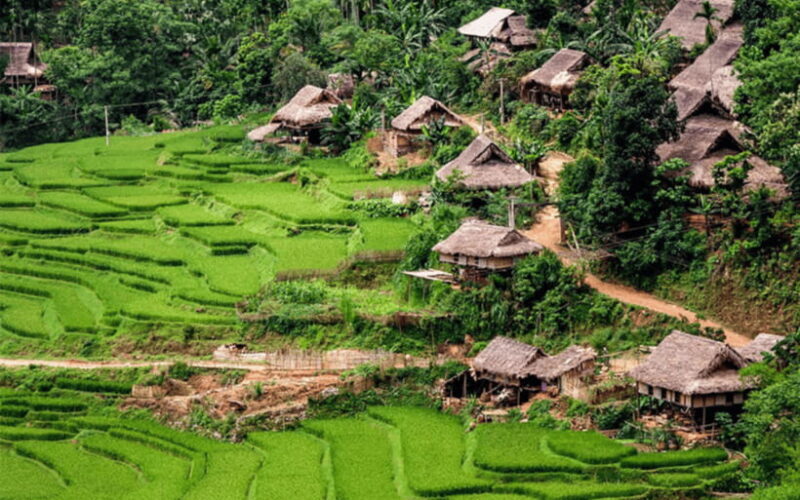 Ha Noi - Mai Chau - Pu Luong 2 Days 1 Night Trekking Tour - Transport and Guides