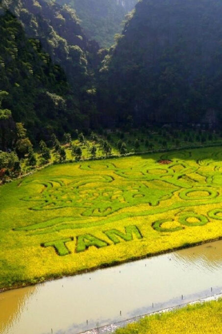 Ha Noi: Ninh Binh / Hoa Lu - Tam Coc - Mua Cave/ Small Group - Frequently Asked Questions