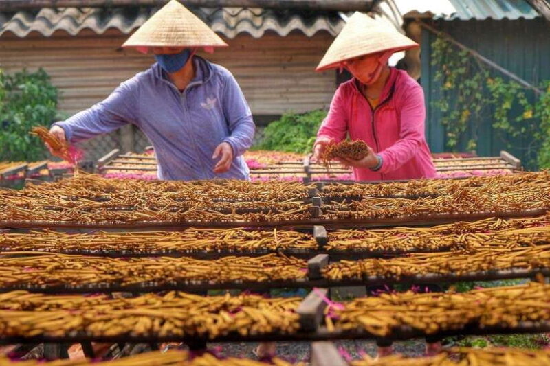 Ha Noi: Perfume Pagoda or Incense Village W Guide Pick up - Transportation and Guide Services