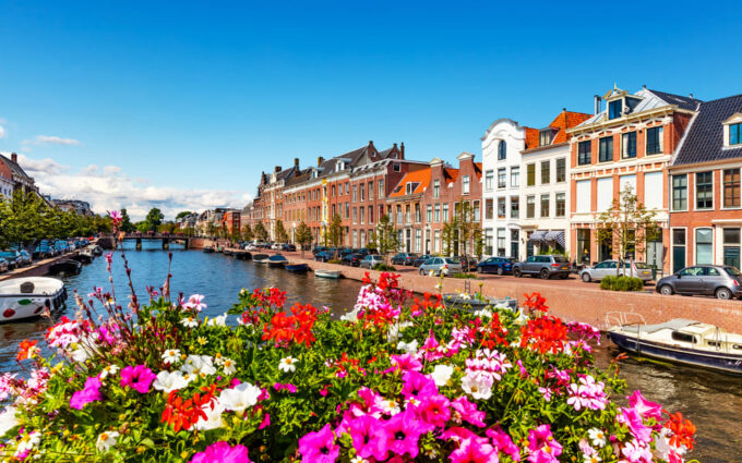 Haarlem Highlights Bike Tour - Historical Churches and Windmills