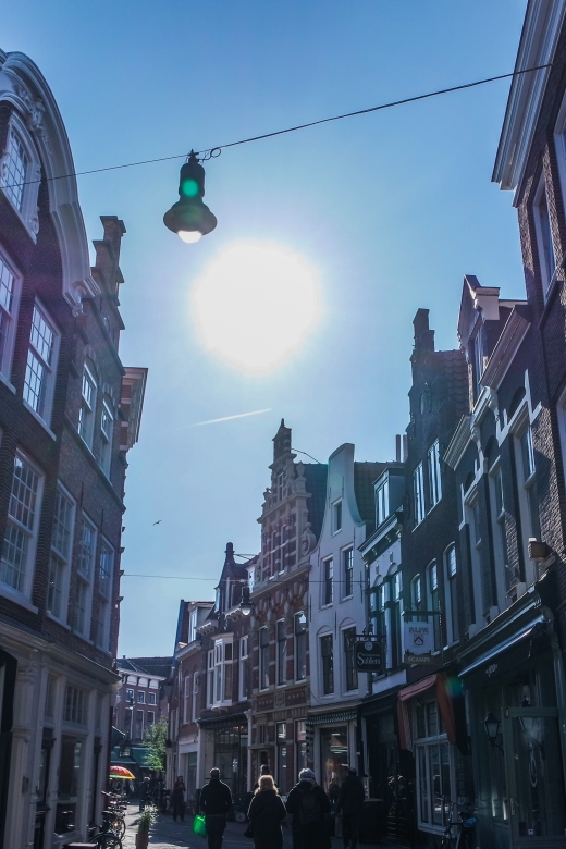 Haarlem: Private City Walking Tour - Pricing and Booking