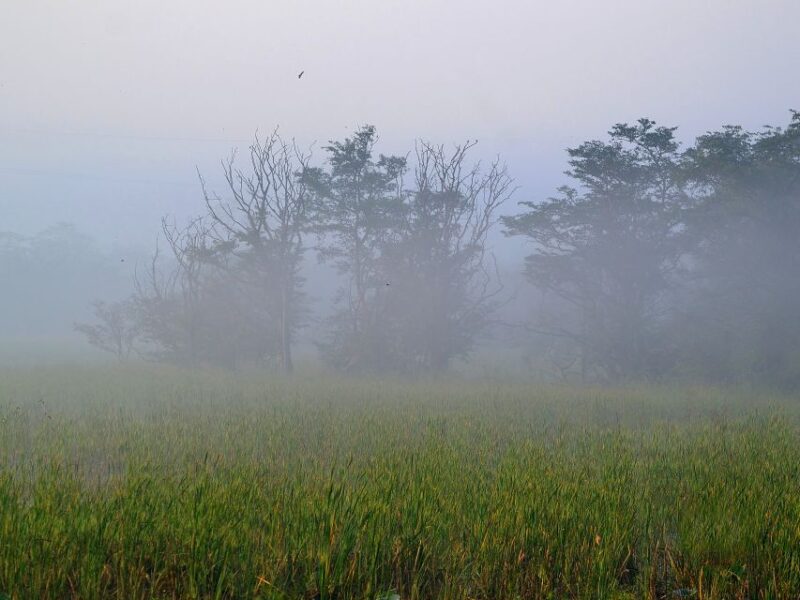 Habarana: Guided Birdwatching Tour - Wildlife and Birdwatching Highlights