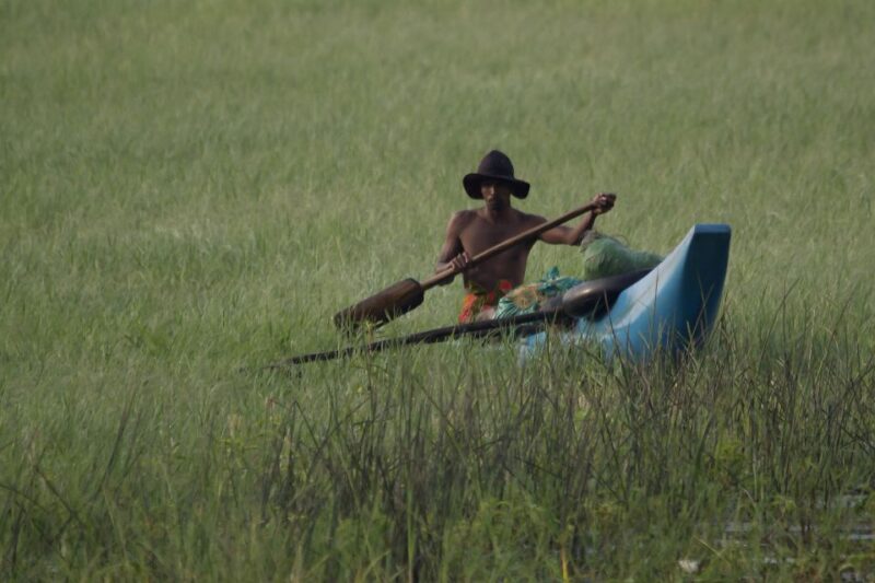 Habarana: Guided Birdwatching Tour - Getting to Habarana Lake