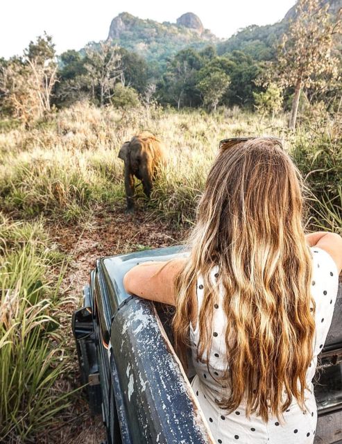 Habarana - Hurulu Eco Park Wildlife Safari - Key Points