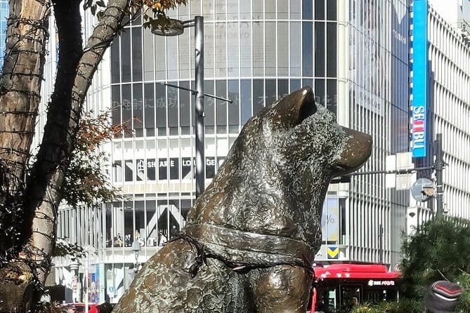 Hachiko ( Aka. Hachi ) Tale of a Faithful Dog, Mystery Tour - Key Points