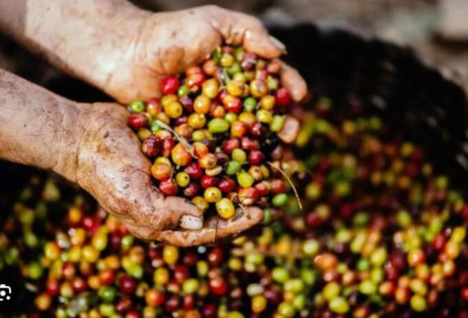 Hacienda Coloma Coffee Day Tour in Fusagasugá From Bogotá - Scenic Drive to Hacienda Coloma